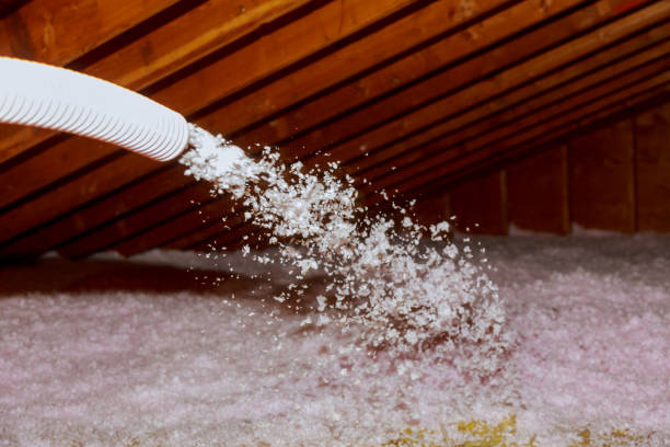 Best Residential Insulation in Royal Palm Estates, FL