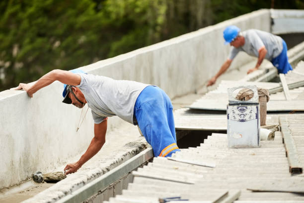 Best Geographic-Specific Insulation Services in Royal Palm Estates, FL