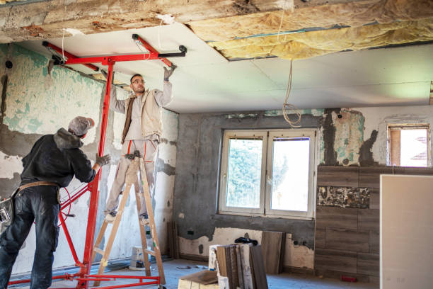 Best Eco-Friendly Insulation in Royal Palm Estates, FL
