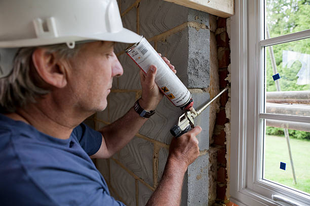 Best Insulation Maintenance and Repair in Royal Palm Estates, FL
