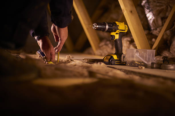 Best Specialized Insulation Services in Royal Palm Estates, FL
