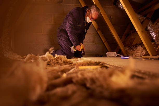 Types of Insulation We Offer in Royal Palm Estates, FL